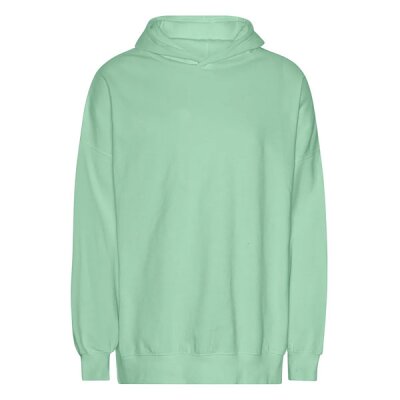 Neutral - Unisex Tiger Cotton Oversized Hoodie (T63111) - dusty mint XS