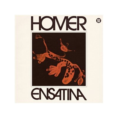 HOMER - ENSATINA - LP