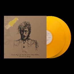 MEGIRA, CHARLIE - END OF TEENAGE (BANANA VINYL) - LP