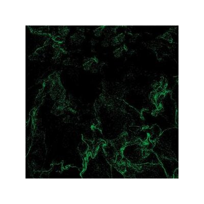 SO SNER - THE WELL - LP