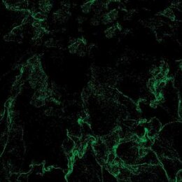 SO SNER - THE WELL - LP