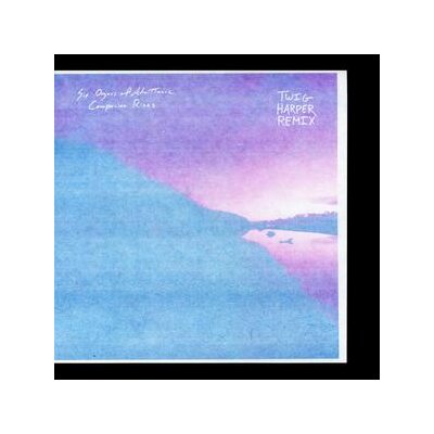 SIX ORGANS OF ADMITTANCE - COMPANION RISES (TWIG HARPER REMIX) - LP