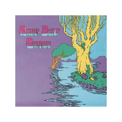 SKINSHAPE - ANOTHER SIDE OF SKINSHAPE - CD