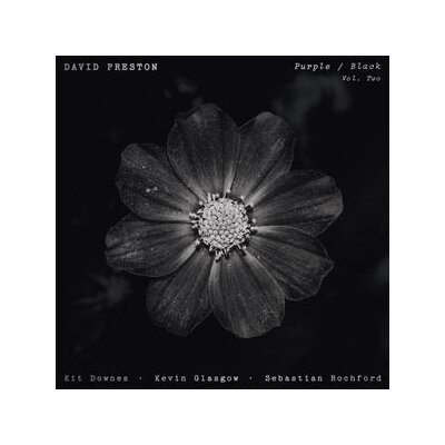 PRESTON, DAVID - PURPLE / BLACK VOL. 2 - CD
