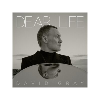 GRAY, DAVID - DEAR LIFE - LP