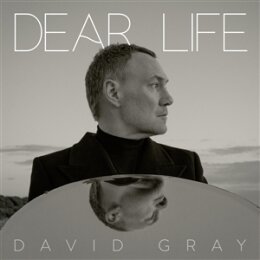 GRAY, DAVID - DEAR LIFE - LP