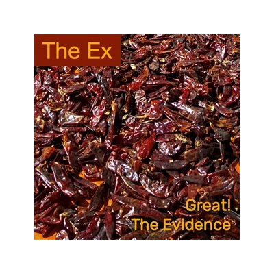EX, THE - GREAT! / THE EVIDENCE - 7"