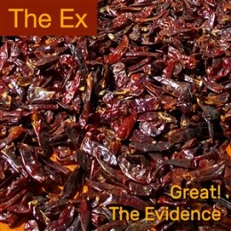 EX, THE - GREAT! / THE EVIDENCE - 7"