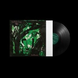 BUFFALO TOM - BIRDBRAIN (REISSUE) - LP