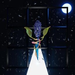 DONOVAN THOMAS, DARIAN - A ROOM WITH MANY DOORS: NIGHT - LP