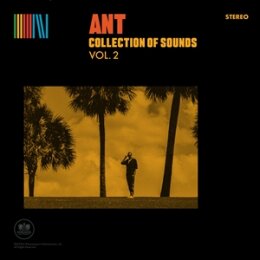 ANT - COLLECTION OF SOUNDS VOL.2 (YELLOW VINYL) - LP