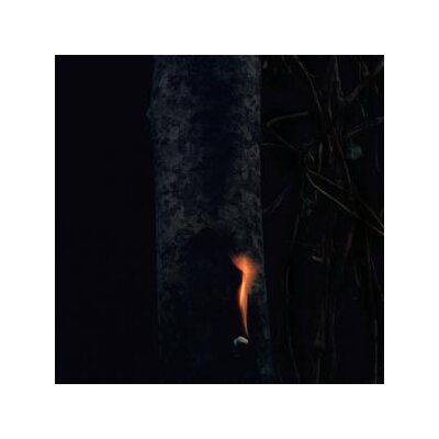 BZDB - JUMP SHIP, SIT LEAN, BE STILL, STAND TALL - LP