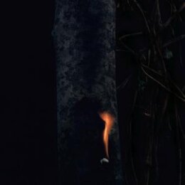 BZDB - JUMP SHIP, SIT LEAN, BE STILL, STAND TALL - LP