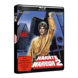 KARATE WARRIOR - KARATE WARRIOR 2 - COVER A -...