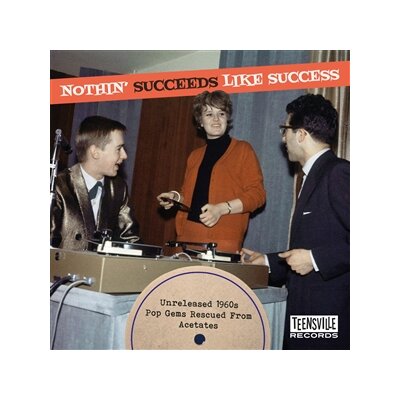 VARIOUS - NOTHIN SUCCEEDS LIKE SUCCESS (UNRELEASED 60S POP GEMS) - CD