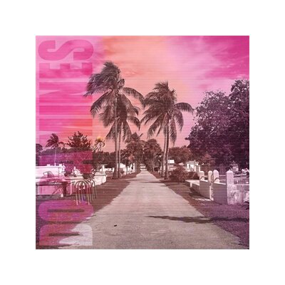 DOPAMINES, THE - 80/20 - LP