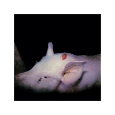 DAMNED, THE - STRAWBERRIES (40TH ANNIVERSARY 2 CD EDITION) - CD