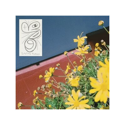 LAUNDROMAT CHICKS - SOMETIMES POSSESSED - LP