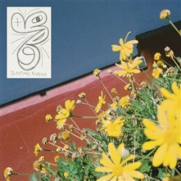 LAUNDROMAT CHICKS - SOMETIMES POSSESSED - LP