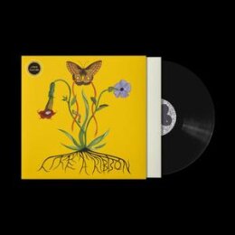 GLACIER, JOHN - LIKE A RIBBON - LP