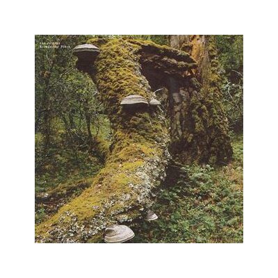 JELINEK, JAN - KOSMISCHER PITCH (REISSUE) - LP