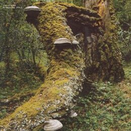 JELINEK, JAN - KOSMISCHER PITCH (REISSUE) - LP