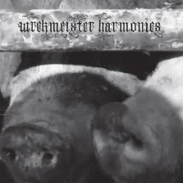 WREKMEISTER HARMONIES - FLOWERS IN THE SPRING - LP