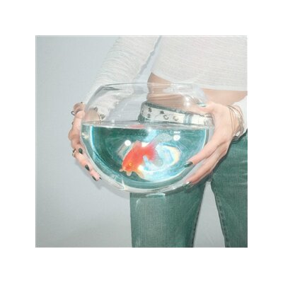 FISH NARC - FROG SONG - LP