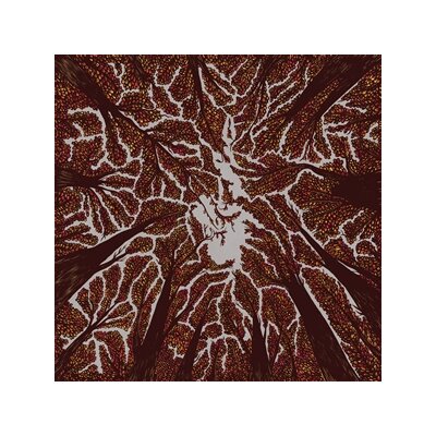 TRASH BOAT - CROWN SHYNESS - CD