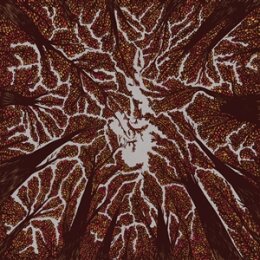 TRASH BOAT - CROWN SHYNESS - CD