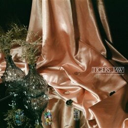 TIGERS JAW - I WONT CARE HOW YOU REMEMBER ME - CD