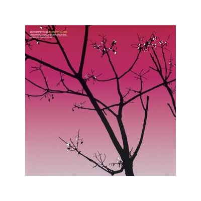 MOTORPSYCHO - PHANEROTHYME - LP