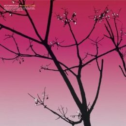 MOTORPSYCHO - PHANEROTHYME - LP