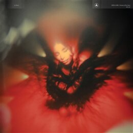 SPELLLING - PORTRAIT OF MY HEART - LP