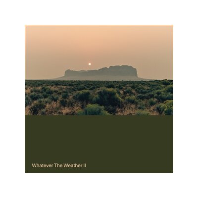 WHATEVER THE WEATHER - WHATEVER THE WEATHER II (LTD. DRAK GREEN VINYL) - LP