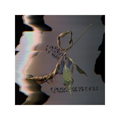 GOWDY, T. - TRILL SCAN - LP