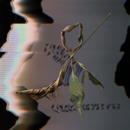 GOWDY, T. - TRILL SCAN - LP