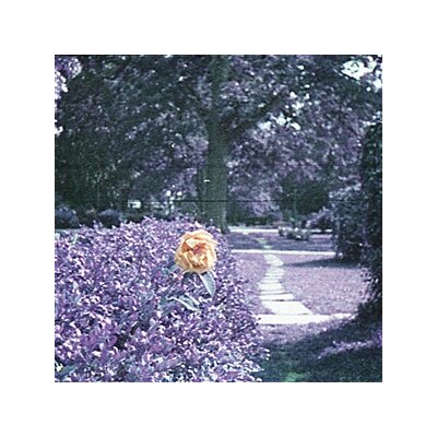 HOUR - SUBMINIATURE - CD