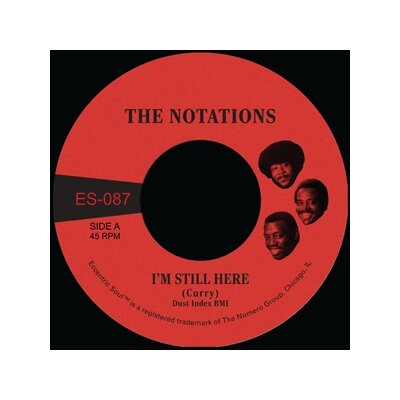 NOTATIONS, THE - IM STILL HERE  (WHITE VINYL) - 7"
