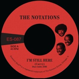 NOTATIONS, THE - IM STILL HERE  (WHITE VINYL) - 7"