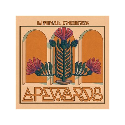 APEWARDS - LIMINAL CHOICES - CD