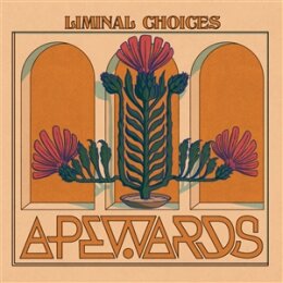 APEWARDS - LIMINAL CHOICES - CD