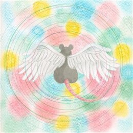 SEMONES, MEI - ANIMARU - CD