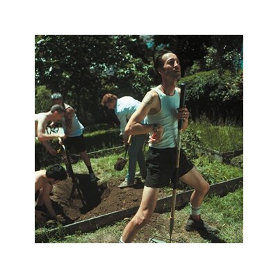 WILLIAMS, MARLON - MY BOY (FOREST GREEN VINYL) - LP