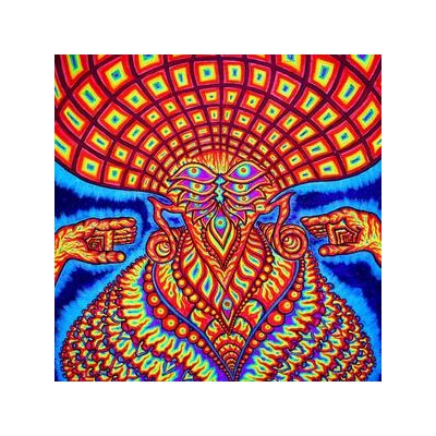 DREAM SYNDICATE, THE - THE UNIVERSE INSIDE - US EDIT. - LP