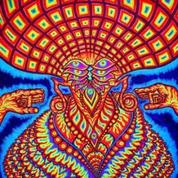 DREAM SYNDICATE, THE - THE UNIVERSE INSIDE - US EDIT. - LP