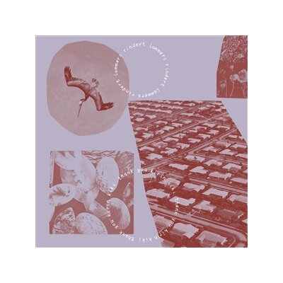 LAMMERS, RINDERT - THANK YOU KIRIN KIKI - LP