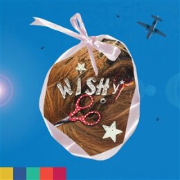 WISHY - PARADISE ON PLANET POPSTAR - CD