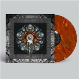 CHAKRA VIMANA - FEED MY SOUL - LP