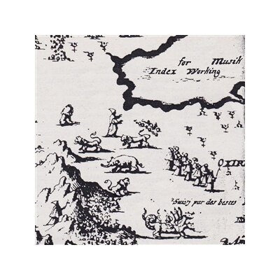 INDEX FOR WORKING MUSIK - WHICH DIRECTION GOES THE BEAM - CD